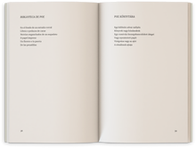 Kép betöltése a galériamegjelenítőbe: Roberto Bolaño: A romantikus kutyák