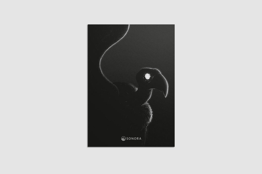 Csillag noir poszter
